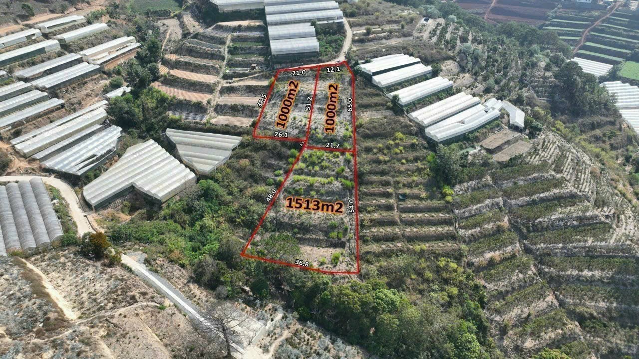 Bán Đất nông nghiệp, Đa Phú, Xã Xuân Thọ