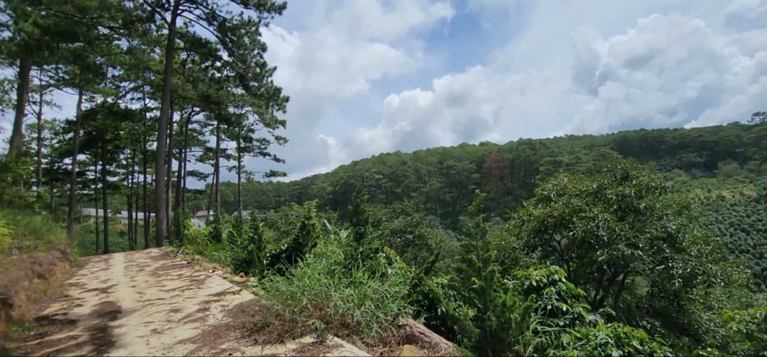 Bán Đất nông nghiệp, Quốc Lộ 20, Xã Xuân Thọ