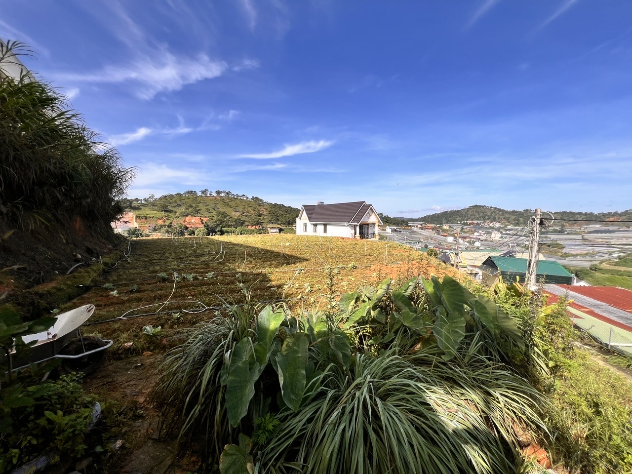 Bán Đất ở, Xô Viết Nghệ Tĩnh, Phường 7