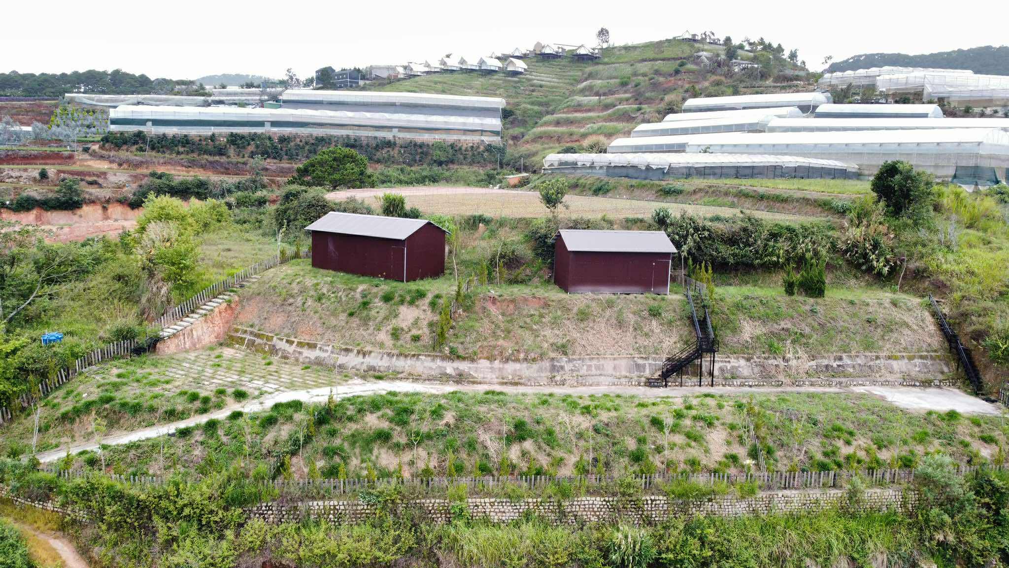 Bán Đất nông nghiệp, Đa Quý, Phường Xuân Trường